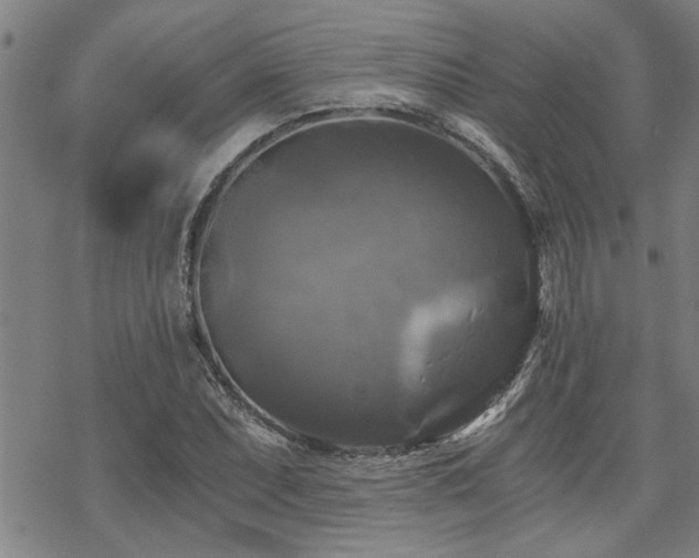 X0000069811071200605191040