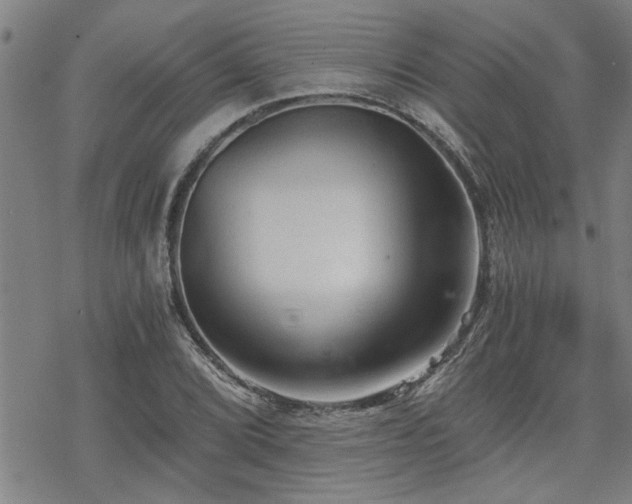 X0000069811072200605191040