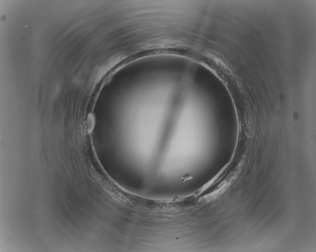 X0000069811073200605191040