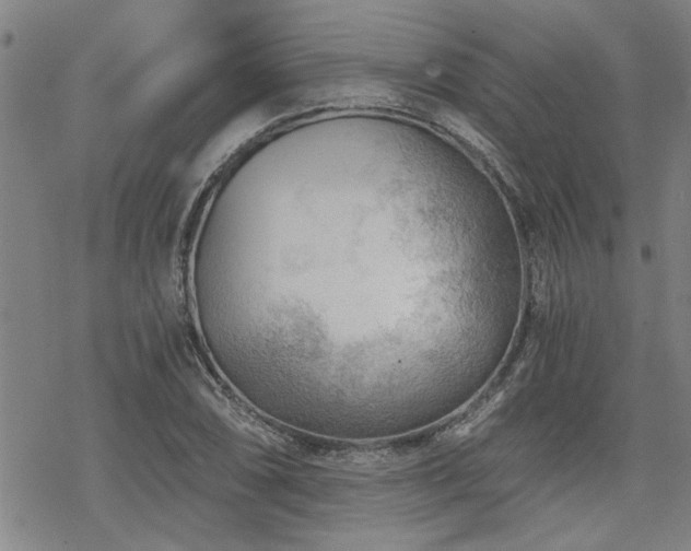 X0000069811074200605191040