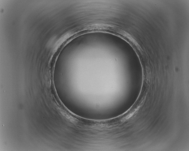 X0000069811075200605191040