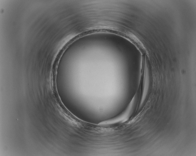 X0000069811076200605191040