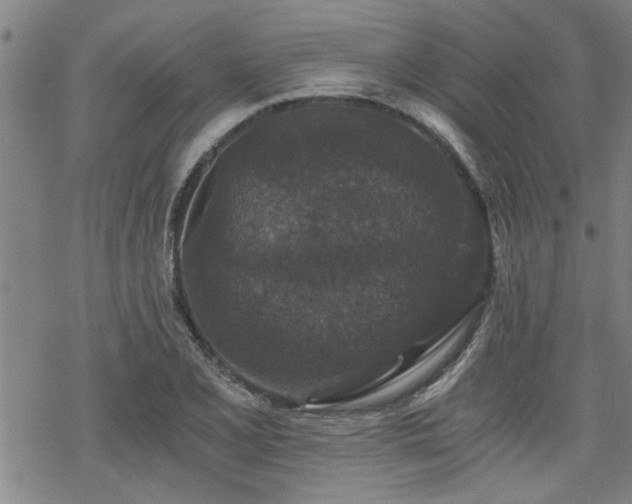 X0000069811077200605191040