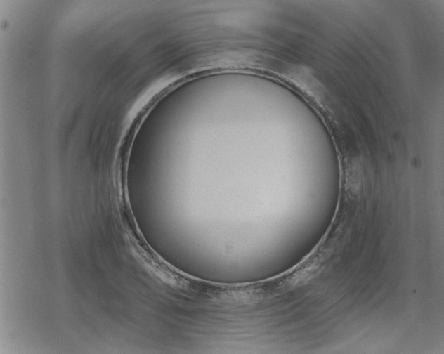 X0000069811078200605191039