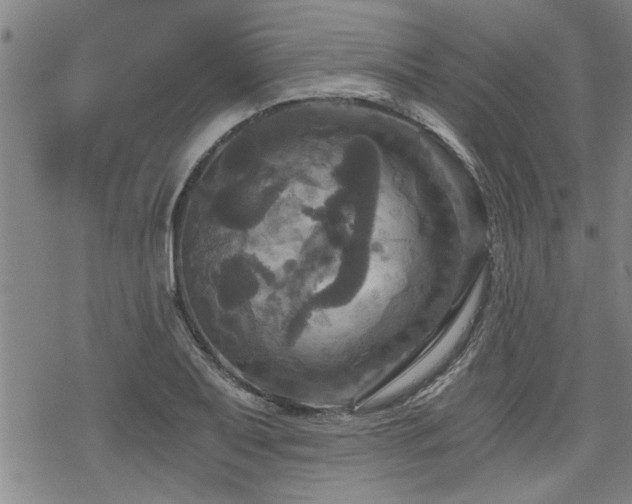 X0000069811079200605191039