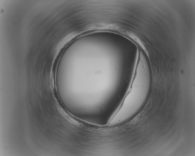 X0000069811080200605191039