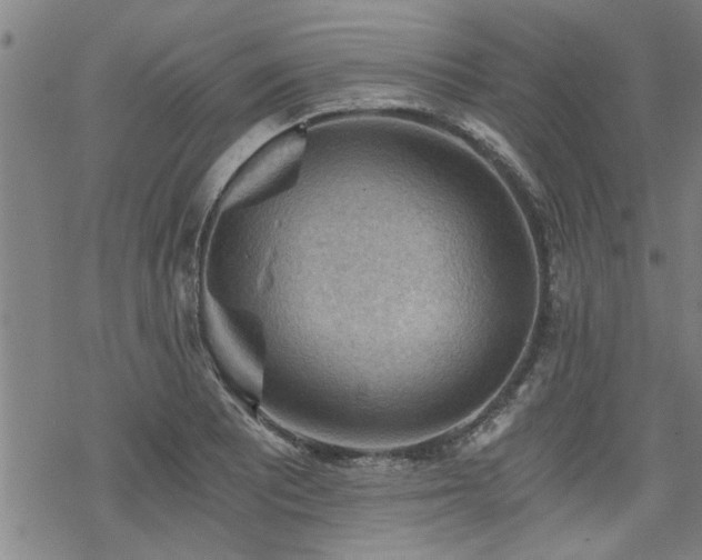 X0000069811081200605191039