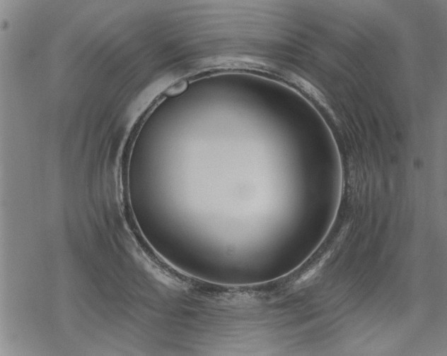 X0000069811082200605191039