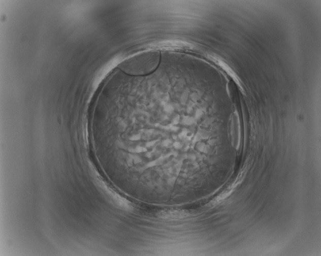 X0000069811083200605191039