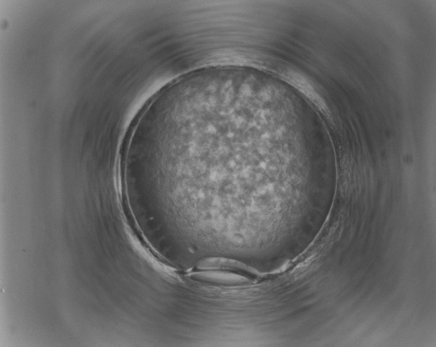 X0000069811084200605191039