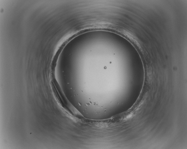 X0000069811085200605191039