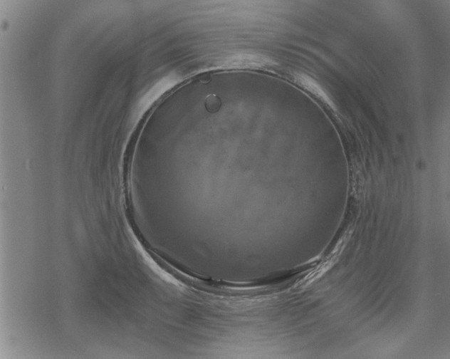 X0000069811087200605191039