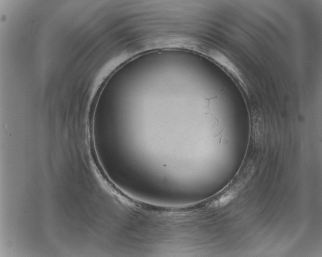 X0000069811088200605191039