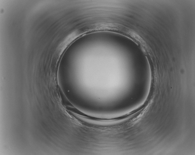 X0000069811089200605191039