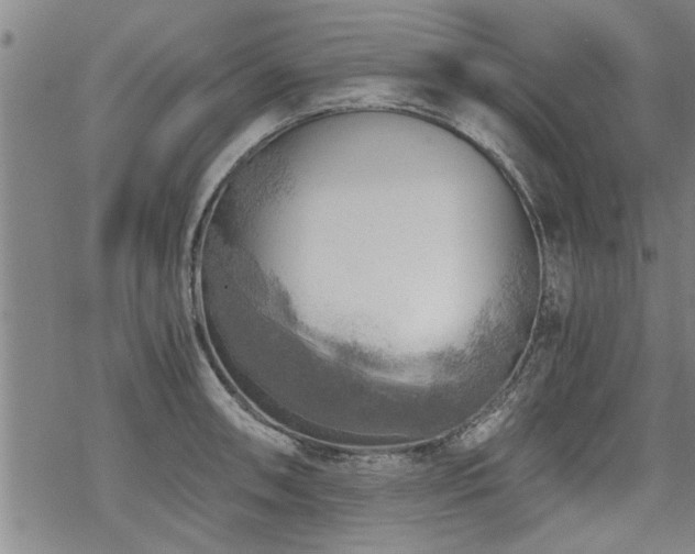 X0000069811090200605191039