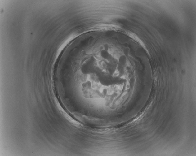 X0000069811091200605191039