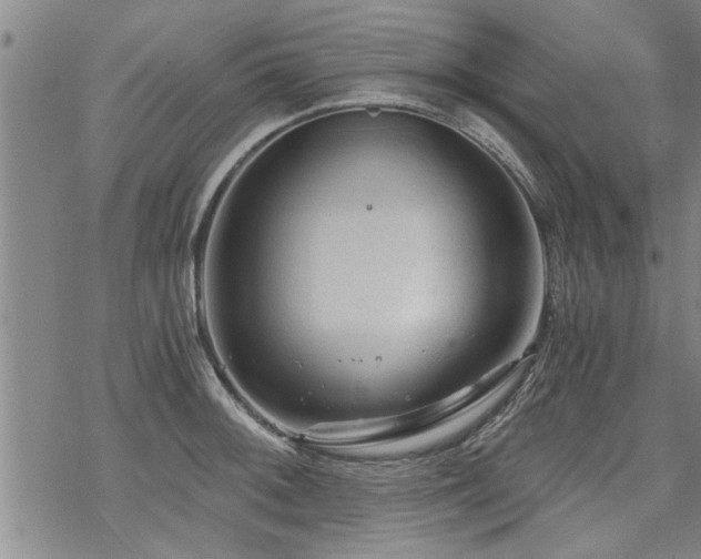 X0000069811092200605191039