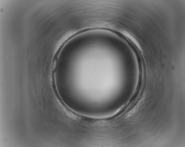 X0000069811093200605191039