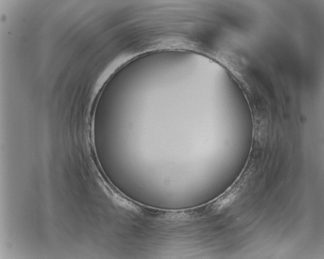 X0000069811094200605191039