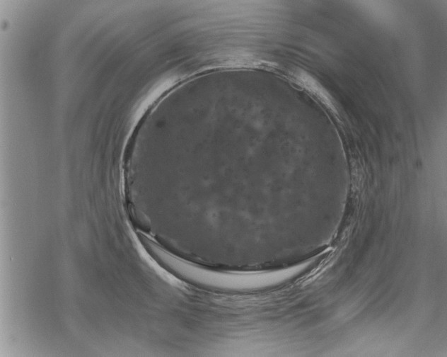 X0000069811095200605191039