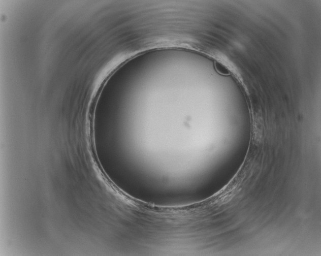 X0000069811096200605191039