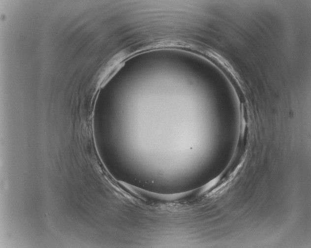 X0000069811097200605191039