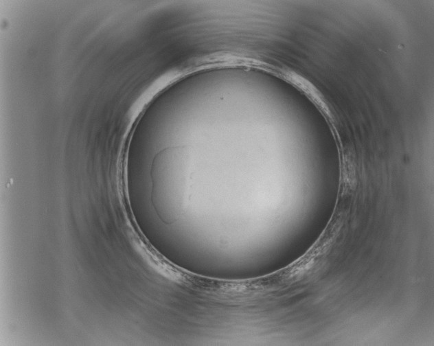 X0000069811098200605191039