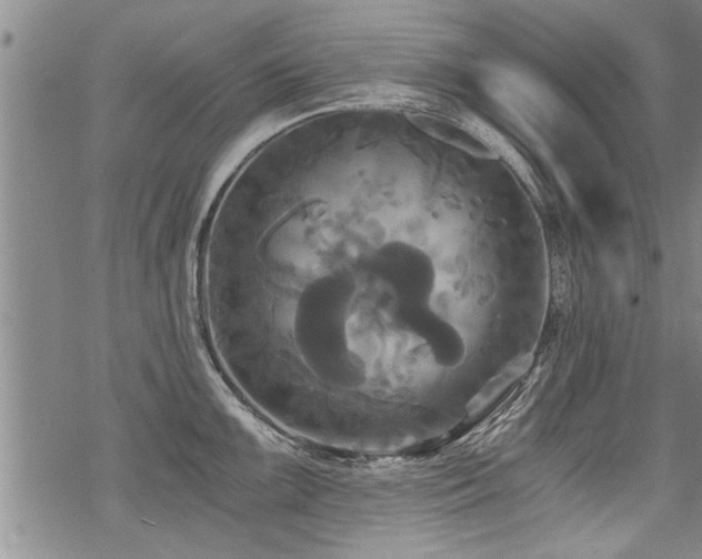 X0000069811099200605191039