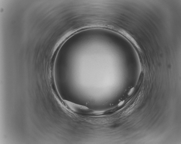 X0000069811101200605191039