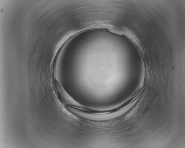 X0000069811102200605191039