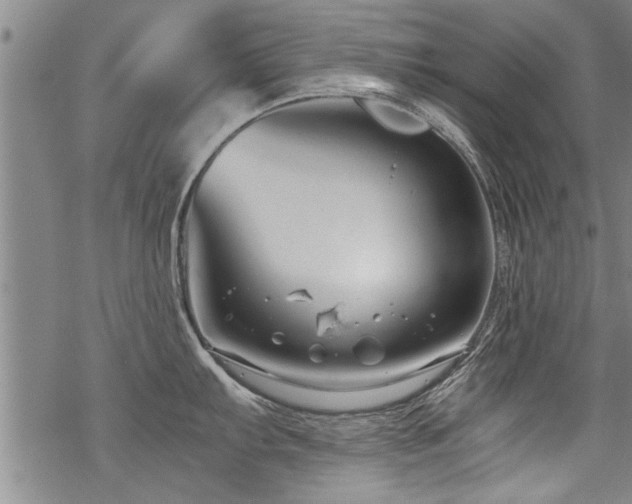 X0000069811103200605191039