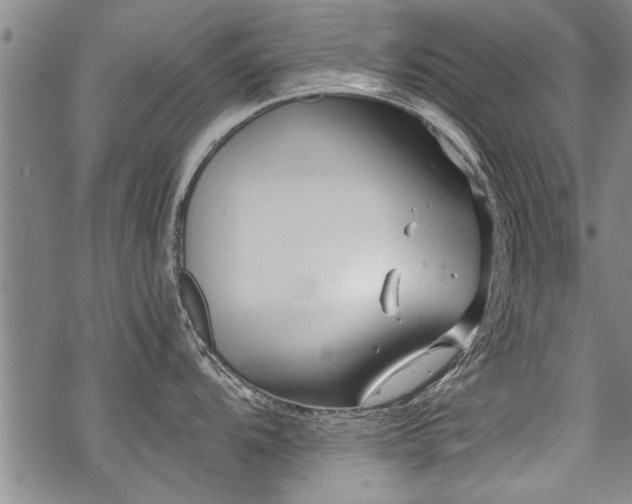 X0000069811104200605191039