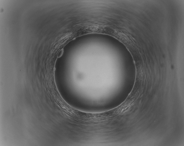 X0000069811105200605191038