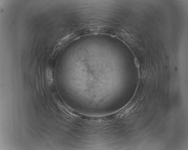 X0000069811106200605191038