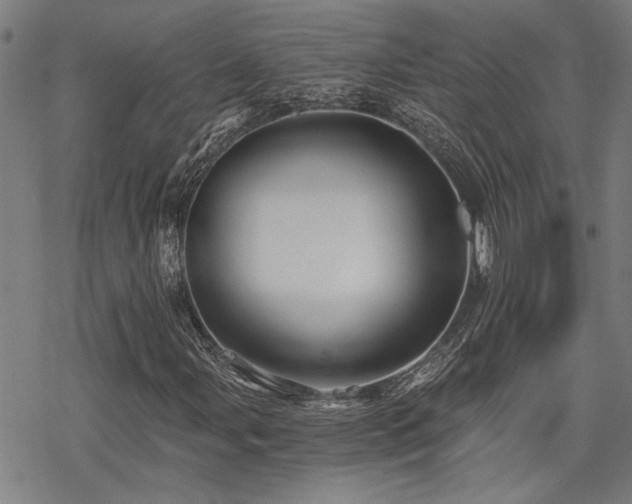 X0000069811107200605191038