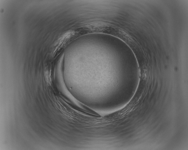 X0000069811108200605191038