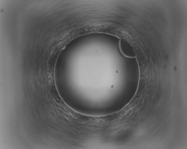 X0000069811109200605191038