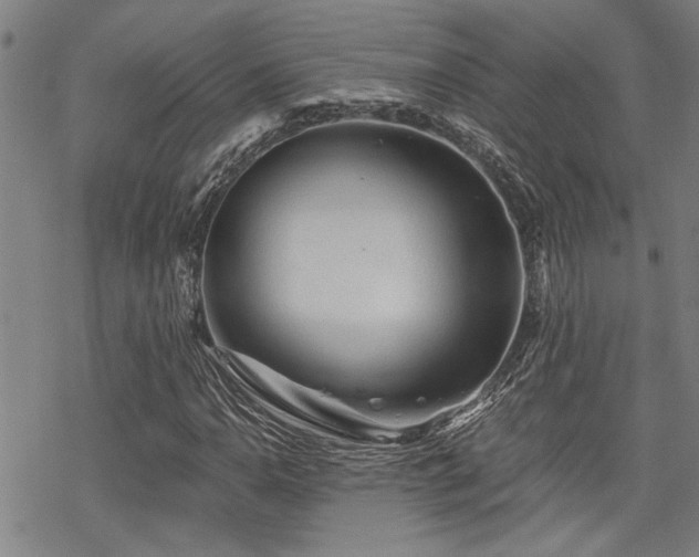 X0000069811110200605191038