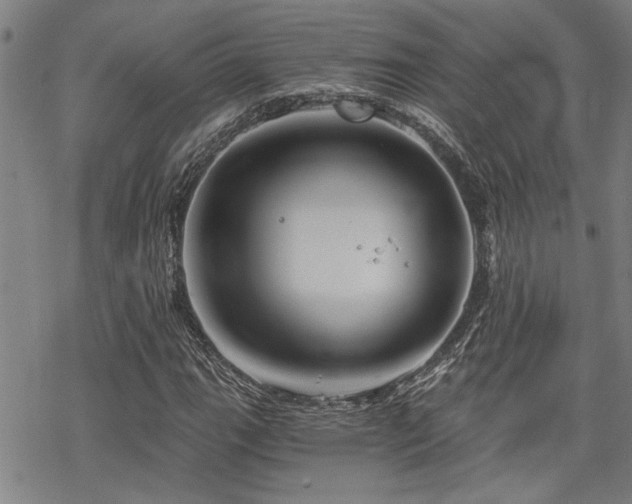 X0000069811111200605191038