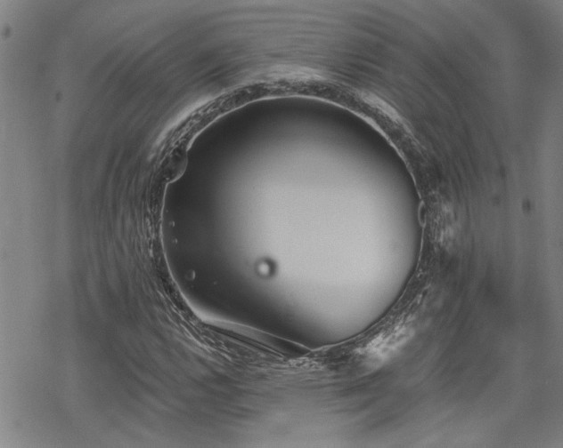 X0000069811112200605191038