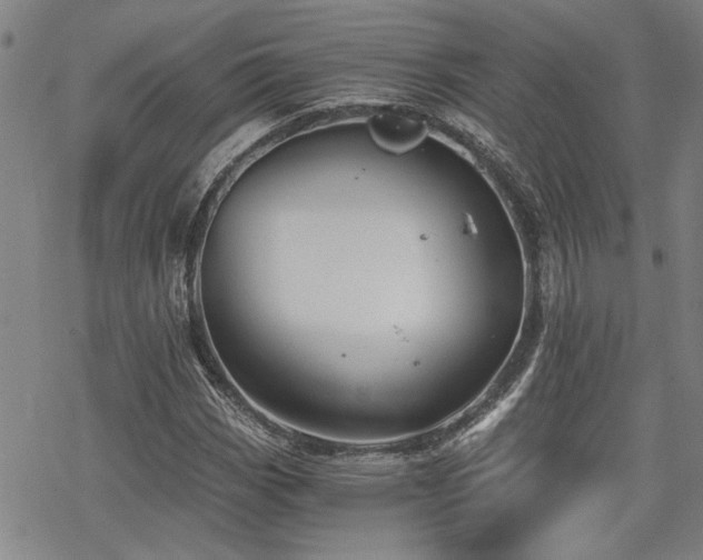 X0000069811113200605191038