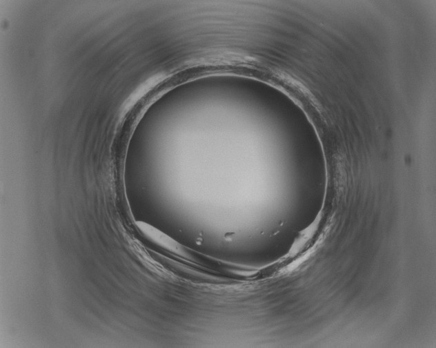 X0000069811114200605191038