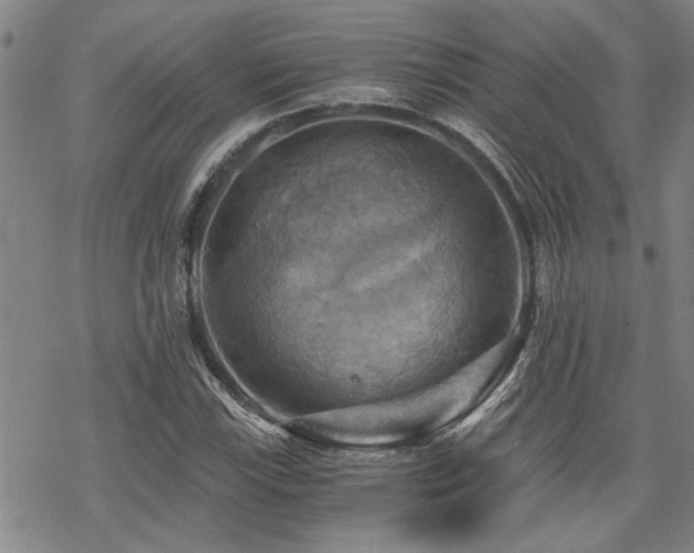 X0000069811115200605191038