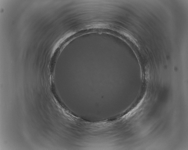 X0000069811117200605191038