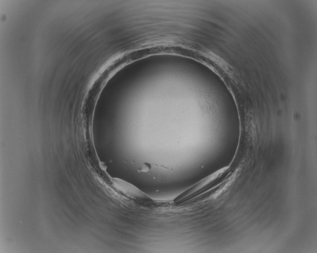 X0000069811118200605191039