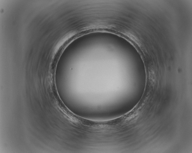 X0000069811119200605191039