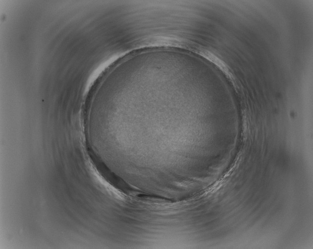 X0000069811120200605191039