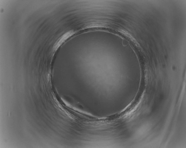 X0000069811121200605191039