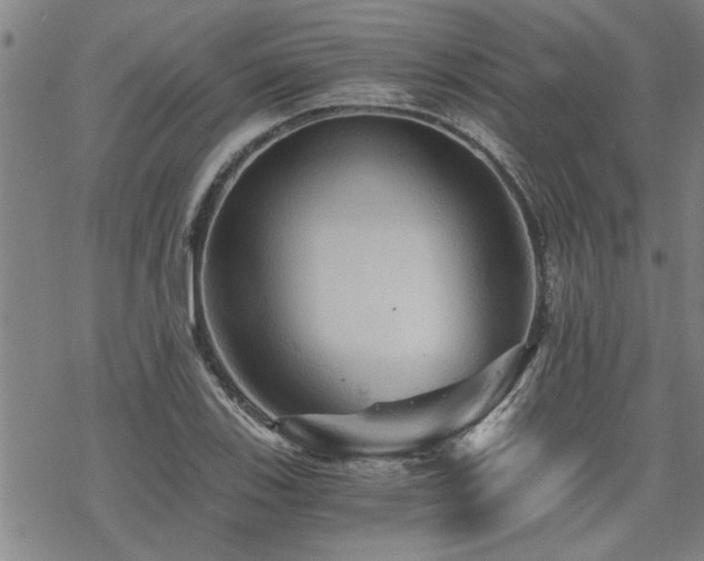 X0000069811123200605191039