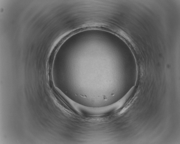 X0000069811124200605191039